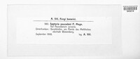 Image Associated With the Occurence